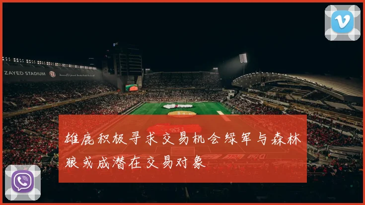 雄鹿积极寻求交易机会绿军与森林狼或成潜在交易对象